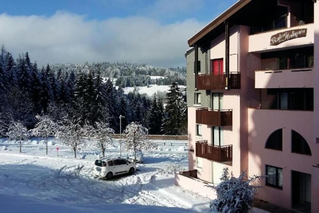 Appartement Montagne La Vallee Verte Coeur Station Hirmentaz Bellevaux Buitenkant foto